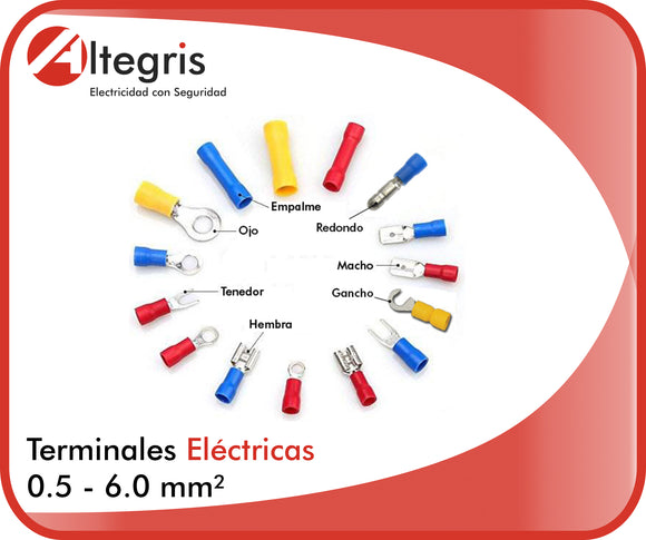 Terminales Eléctricas